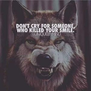 Meet your Posher, Timothy